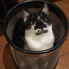 いつの間にか