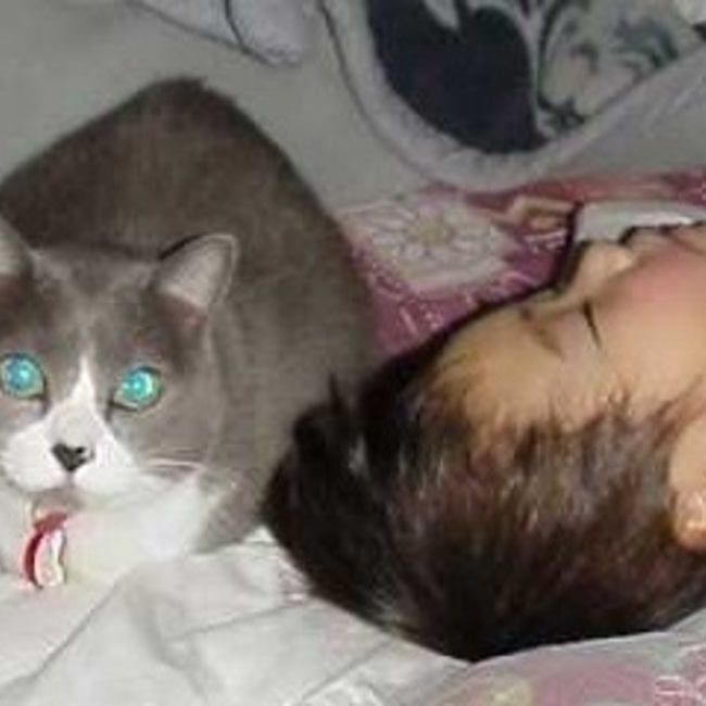 アグにゃんのカバー写真