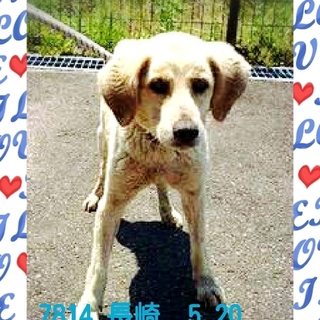 時間がありません