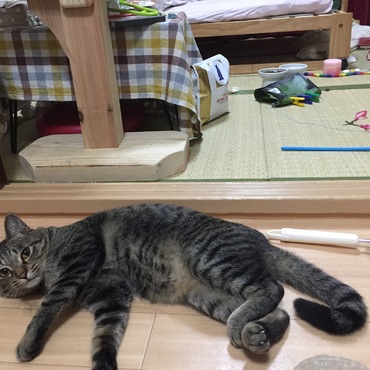 の写真