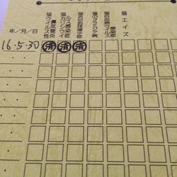 初めての病院
