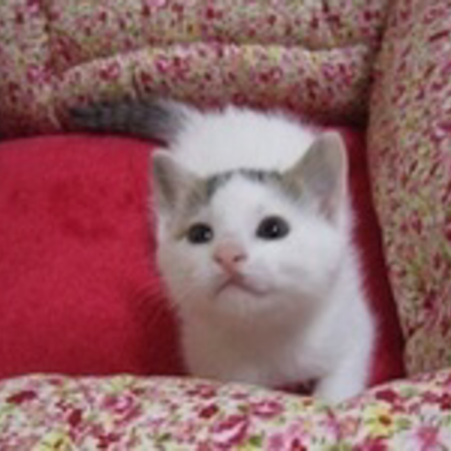 3030chanのカバー写真