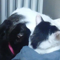 たまには甘えて