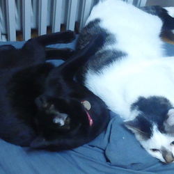 「たまには甘えて」サムネイル2