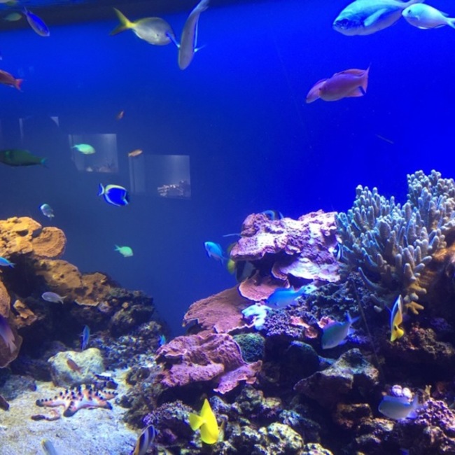 空奏のカバー写真