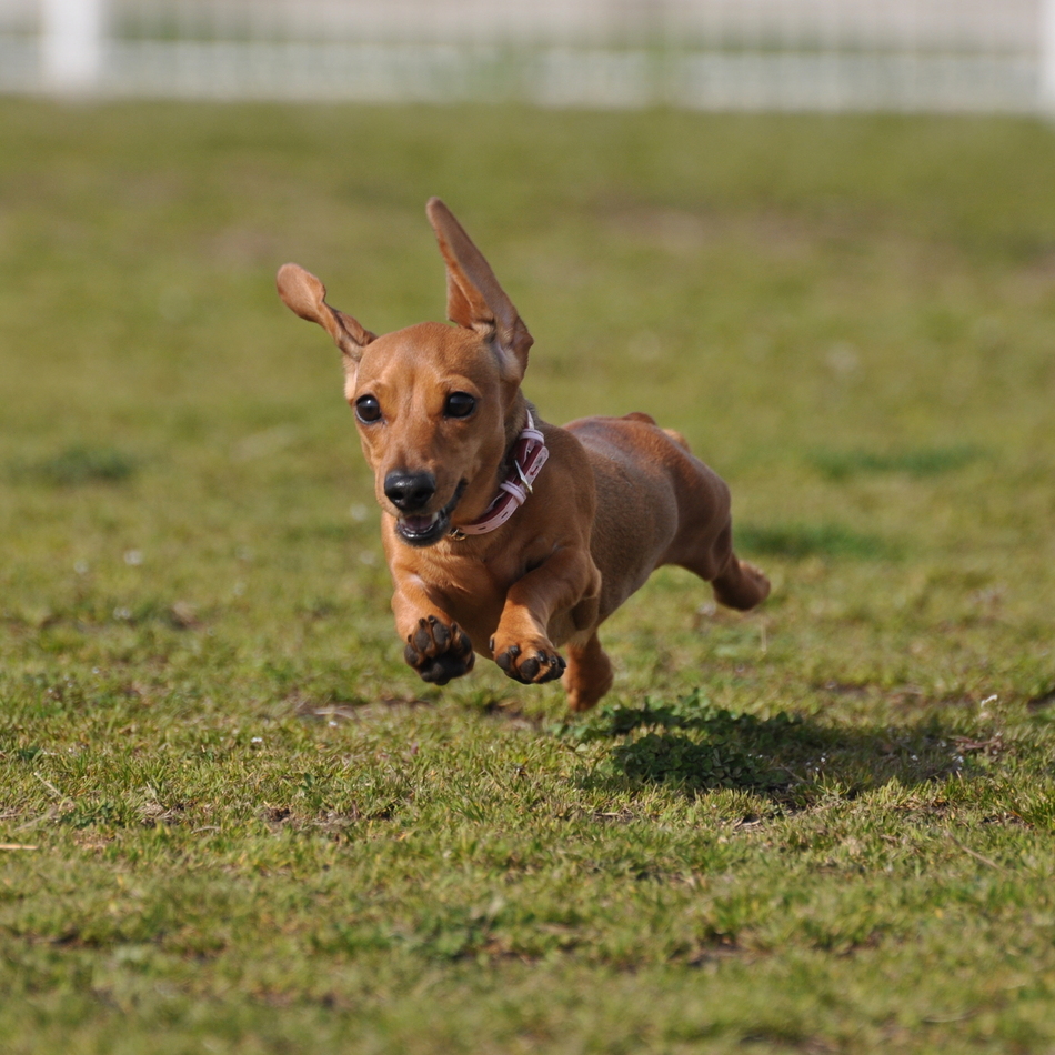 もなかのカバー写真