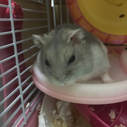 めたぼう、てっぷり