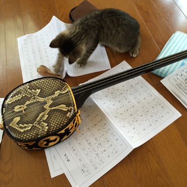 また邪魔するー(^_^;)