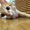 白靴下のとっても美人さんです。