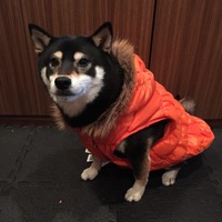 まめ