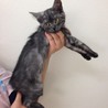 みぃ汰ん