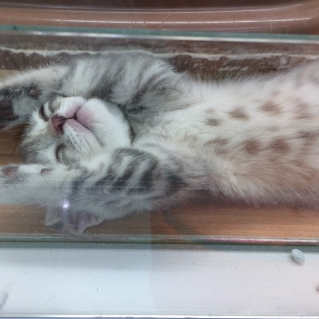 みぃ汰んのカバー写真