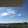 ドント
