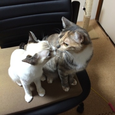 ちゅっ
