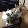 ちゅっ
