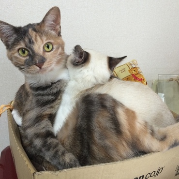 の写真