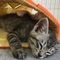 すっかり仲良し