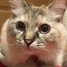 さん