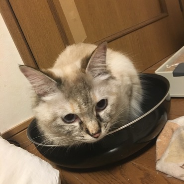 ……(´・ω・｀)