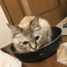 ……(´・ω・｀)