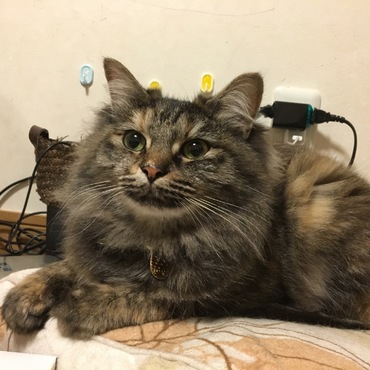 顔がでかく見える…