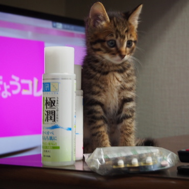 化粧水より少しおっきいんだぞ！