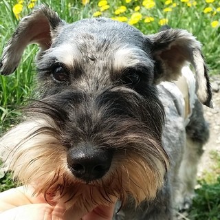 とっても賢い男の子♪