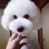 ごんかね。。。。。