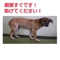 新しい家族が決まりました!!