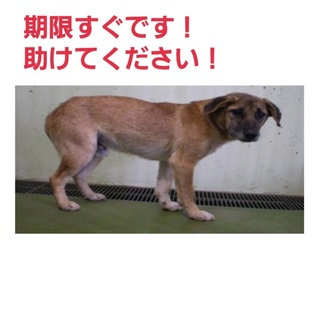 新しい家族が決まりました!!