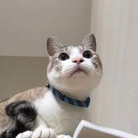 福 フ〜タオ