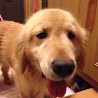 ちょっとお転婆で甘えん坊の女の子