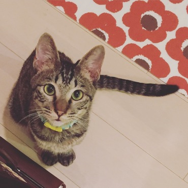 お風呂の出待ち