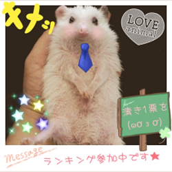 「【ハリネズミ】生後2日目～の写真」サムネイル2