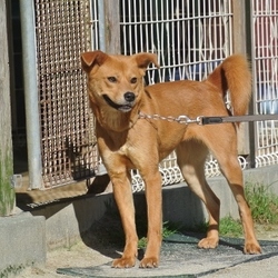 ヒート来ちゃいましたぁ～