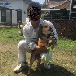 飼い主さん見つかりました！