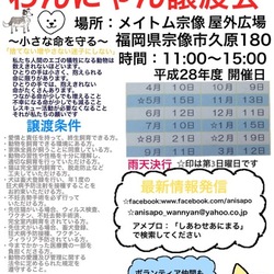 わんにゃん譲渡会