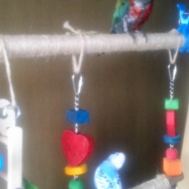 見つめあう2羽☆