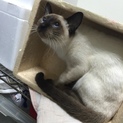 募集しています(終了しています)