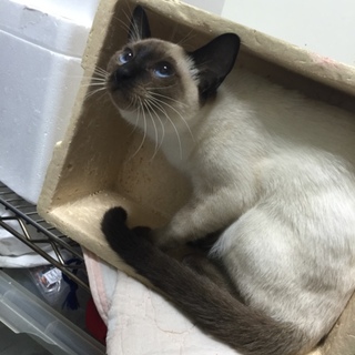 募集しています(終了しています)