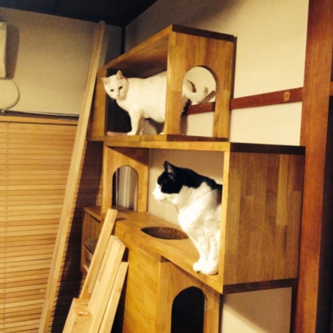 黒夫のカバー写真