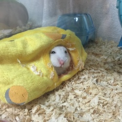 「ちーほんとごめん。ありがとう。」サムネイル1