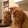 の写真