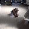 なっかちゃん