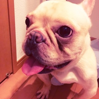 応募数過多の為、募集は終了しました