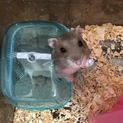 皆さま、本当にありがとうございますm(_ _)m