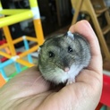 皆さま、本当にありがとうございますm(_ _)m