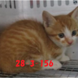 決まりました☆有り難うございます！