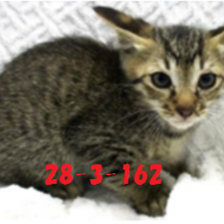 緊急募集です！！どうぞどうぞ宜しくお願いします！4