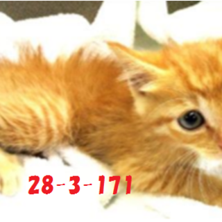 緊急募集です！！どうぞどうぞ宜しくお願いします！9